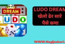 Dream Ludo Money Earning App