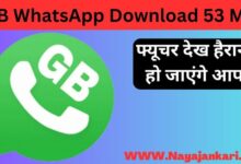 GB WhatsApp Apk | GB WhatsApp V17.20 Download | GB WhatsApp Download 53 MB