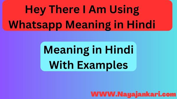Hey There I Am Using Whatsapp Meaning in Hindi
