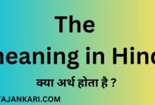 The meaning in Hindi