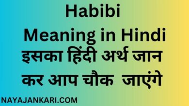 Habibi Meaning in Hindi