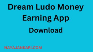 Dream Ludo Money Earning App